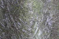 Scaur Or Kippford fibreglass roof work